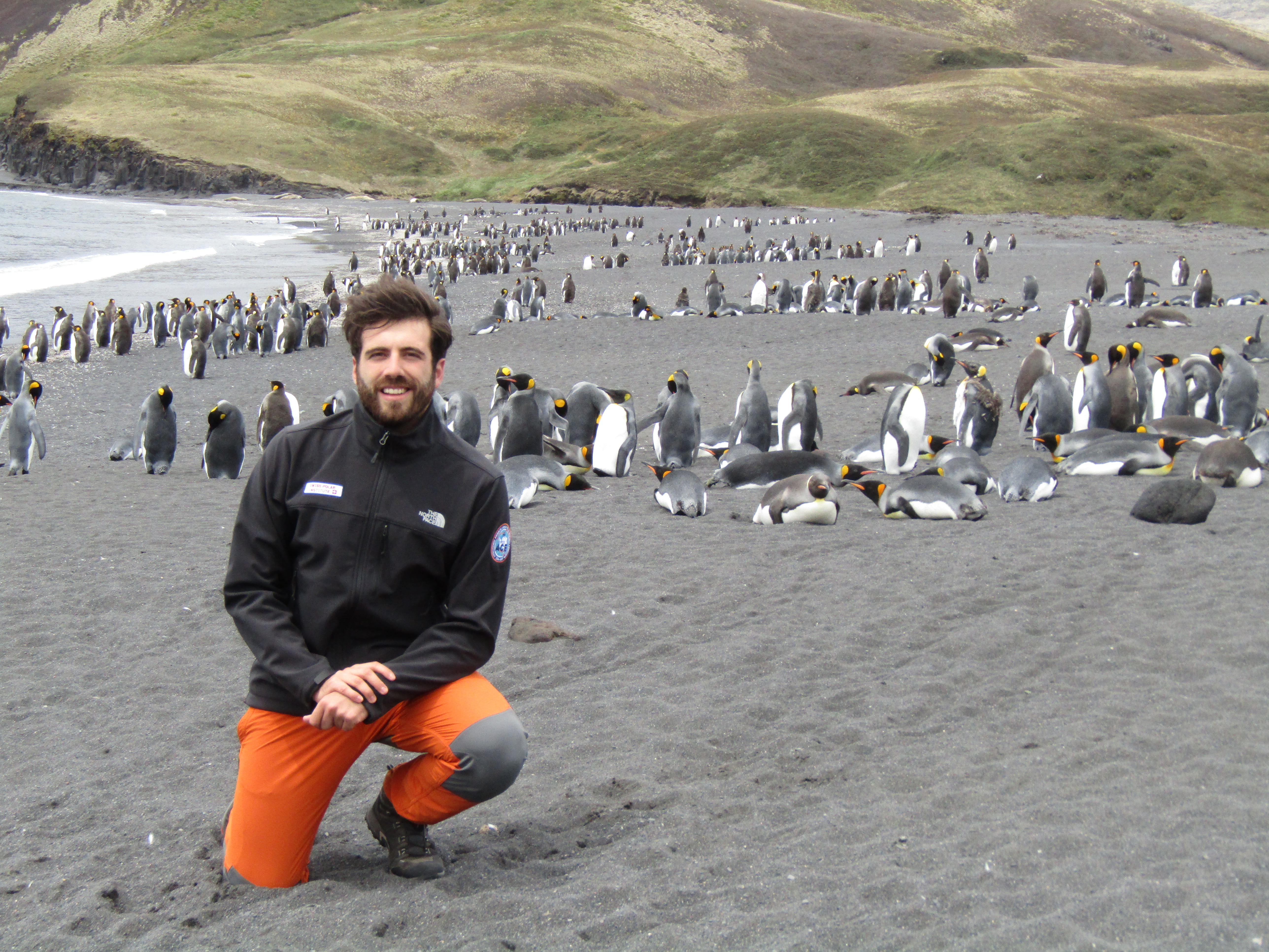 pablo_isla_posesion_con_pinguinos_rey